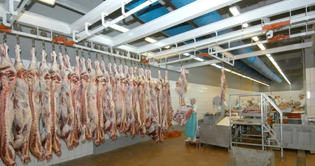 Дезинсекция на мясокомбинате в Королеве, цены на услуги